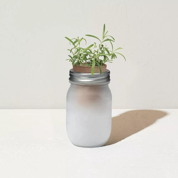 Modern Sprout Pint Jars Herb Garden Seed Kits - Rosemary