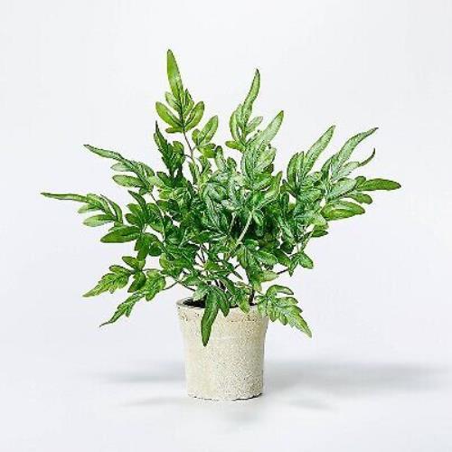 Small Artificial Ribbon Fern Leaf in Pot - Threshold designed with Studio McGee
