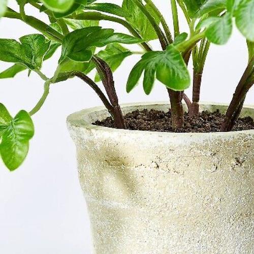 Small Artificial Ribbon Fern Leaf in Pot - Threshold designed with Studio McGee