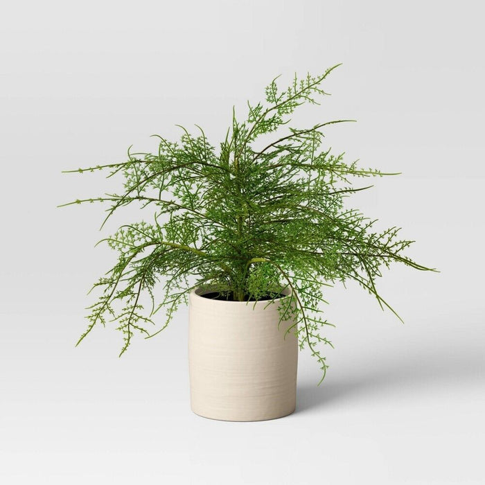 Large Asparagus Artificial Fern Leaf in Pot - Threshold